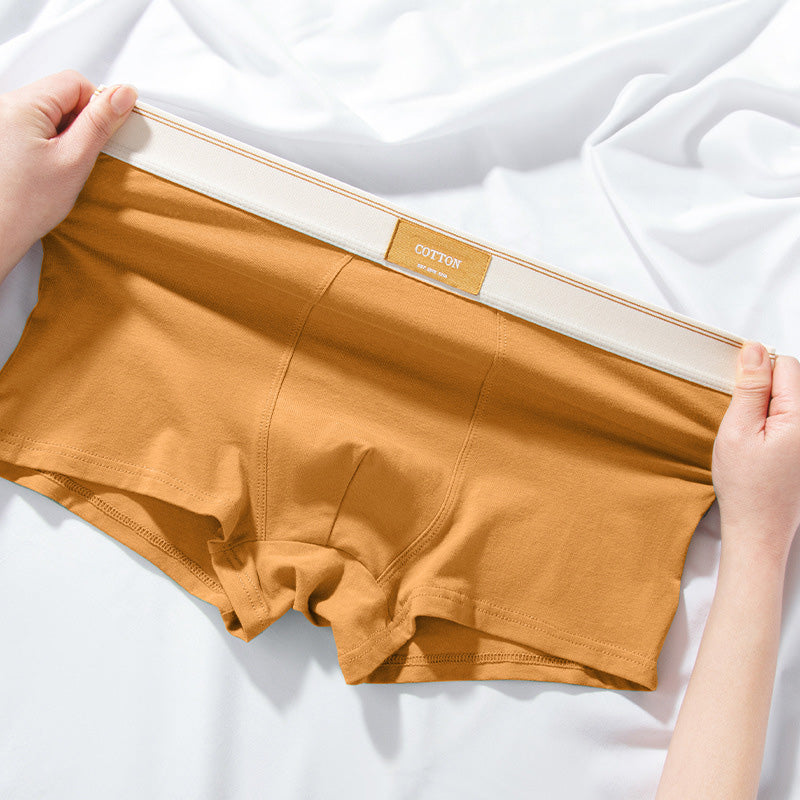 Men's Cotton Trunks – Pure Cotton Design, Ultra-Soft Everyday Essentials