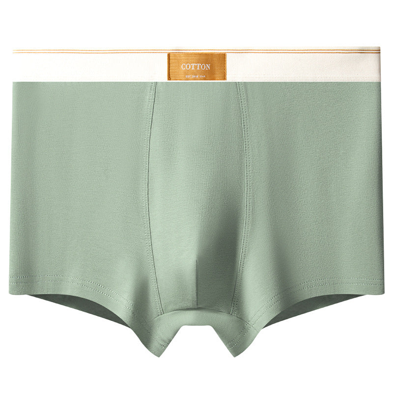 Men's Cotton Trunks – Pure Cotton Design, Ultra-Soft Everyday Essentials