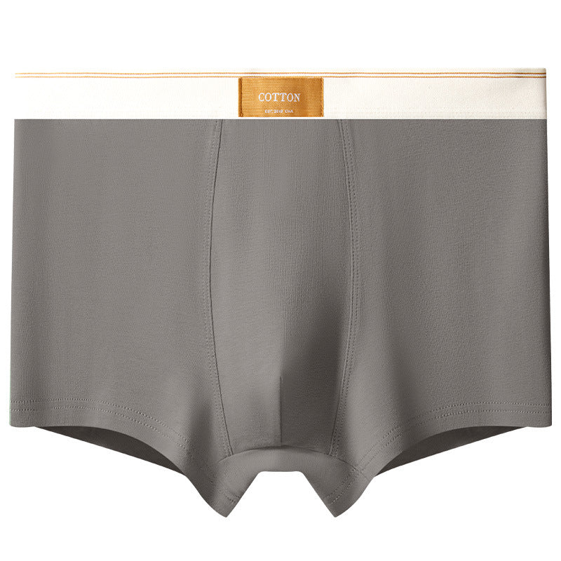 Men's Cotton Trunks – Pure Cotton Design, Ultra-Soft Everyday Essentials
