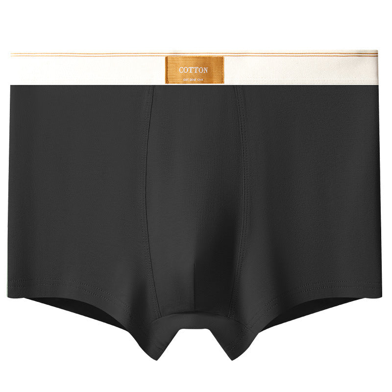 Men's Cotton Trunks – Pure Cotton Design, Ultra-Soft Everyday Essentials