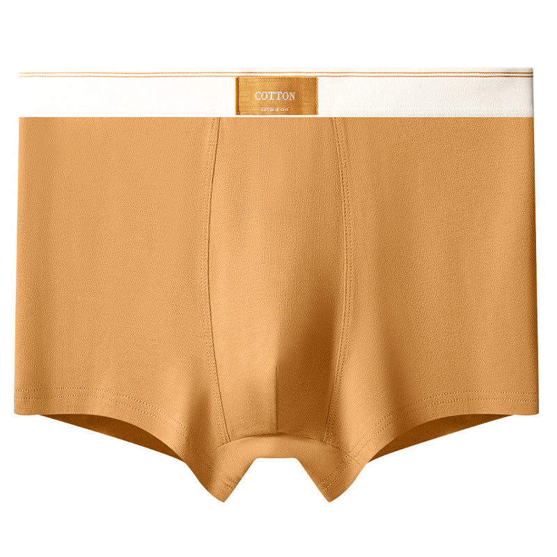 Men's Cotton Trunks – Pure Cotton Design, Ultra-Soft Everyday Essentials